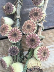Decorative composition of poppy boxes on the background of a wooden surface