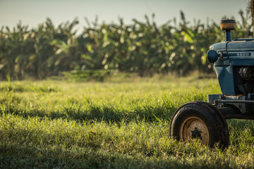 Obraz premium machine, tractor, farm, field, nature, agriculture, trator, campo, fazenda, agricultura