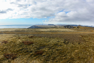 Fototapeta premium autumn landscape of Iceland. Yellow grass and moss
