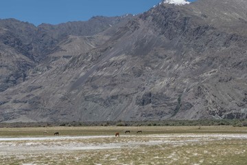 Leh,aldakh,Jammu And KashmirIndia-17-04-2019:Photos taken in Leh,Ladakhregion,India.