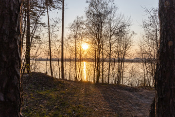 Sunset over the forest lake. The rays of the sun through the trees.