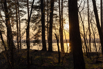 Sunset over the forest lake. The rays of the sun through the trees.