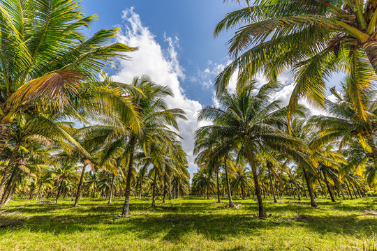 Roadtrip durch das wundervolle Belize.