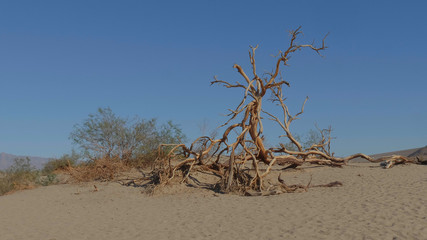Sand Dunes at Death Valley National Park - Mesquite Flat Sand Dunes - USA 2017