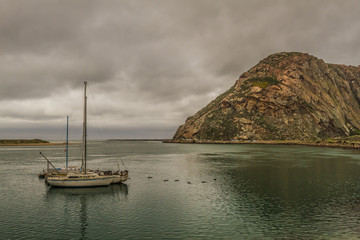 Morro Bay State Park, California.