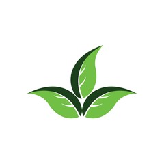 Obraz premium green leaf ecology nature vector icon 