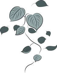 Leaves vector illustration