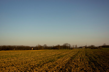 Landscape  spring view on morning day