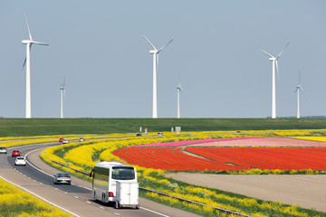 Dutch motorway near lelystad along colorful tulip fields and windturbines © Kruwt
