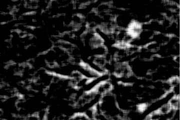 black and white background, blurred background