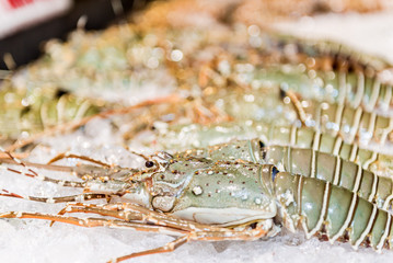 lobster on a plate