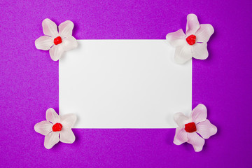 White flowers with white blank paper on a purple background