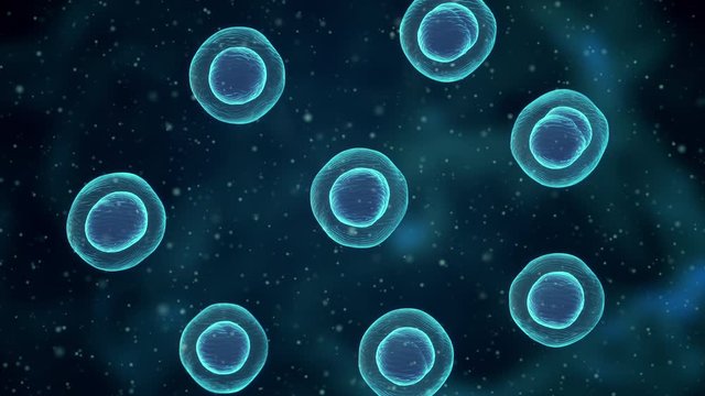 Virus propagation, infection, azitic Coronavirus COVID-19. Pandemic, epidemic. Dividing Infected Cells. Close-up.