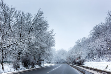 View of road in winter forest. Nyiregyhaza Hungary