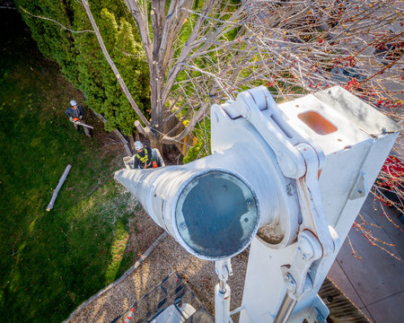 Man In A Cherry Picker Bucket Cutting Tree Limbs