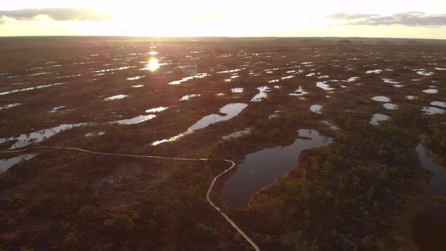 Picturesque Great Kemeri Bog natural reserve with green trees