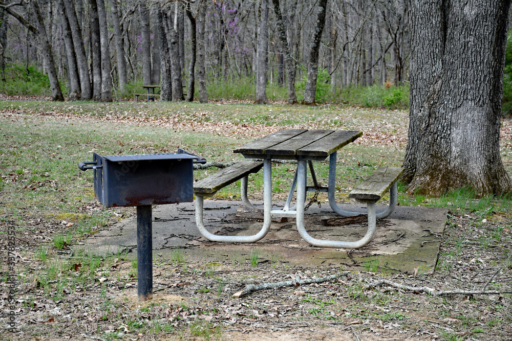 Wall mural Picnic Table and Barbeque Grill in a Park