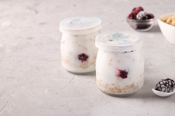 Granola crispy honey muesli with natural yogurt and frozen berries in in two closed glass jars on a gray background, healthy food, Copy space