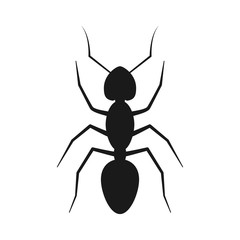 Black silhouette ant isolated on white