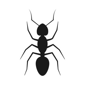 Black silhouette ant isolated on white