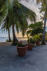 Fototapeta premium Roadtrip durch das wundervolle Belize.