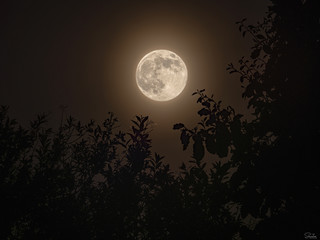 Fototapeta na wymiar Full big moon glowing 
