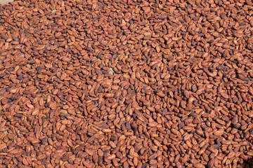 Chocolate beans