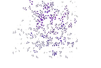 Light Purple vector backdrop with abstract shapes.