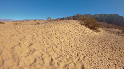 Mesquite flat sand dunes in Death Valley National Park - USA 2017