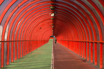 red bridge in the city