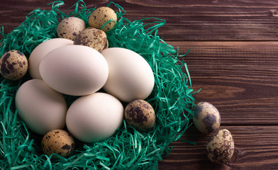 Obraz premium Small green nest with chicken and quail eco eggs on the dark wooden background. No people.