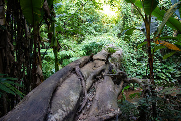 A beautiful view of Chiang Rai city and its nature at Thailand.