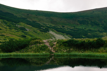 Carpathians mountains in the middle of summer. Nesamovite lake on the top of hill. Green hill. Ukrainian popular tourism place with calm water and shrubs. Mountain hiking. Walking on the top. View.