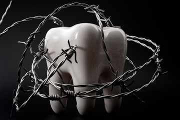 Dental ache and pain, metaphor for painful teeth and dentist suffering concept with barbed wire touching white tooth isolated on black background
