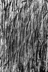 blanco y negro fondo textura madera