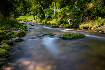 Fluss, water, park, river, spring, green, landscape