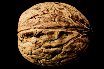 Isolated walnut on black background. Macro, close-up photo. 