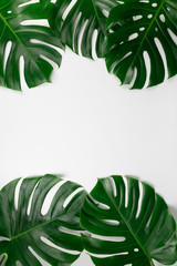 Fototapeta na wymiar Tropical leaves vertical border frame
