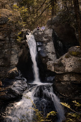 Obraz premium waterfall in the forest