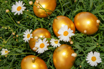 Fototapeta na wymiar Golden easter eggs on grass with daisies. Celebrating spring holidays. Nature holiday background.
