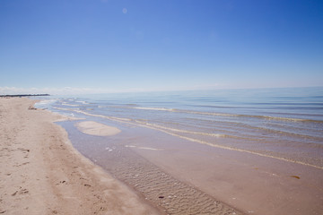 Fototapeta na wymiar Muscheln und Steine im weißen Sand am Strand