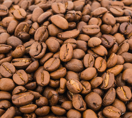 Coffee Beans on White Background
