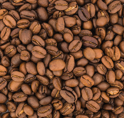 Coffee Beans on White Background