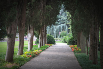 alley in the park