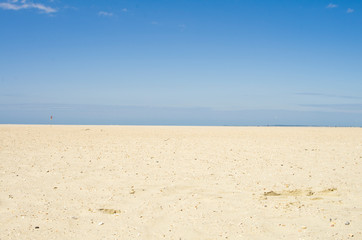 Muscheln und Steine im weißen Sand am Strand