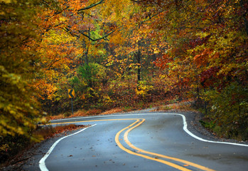 Wet fall day in the Ozarks