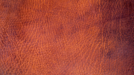 Old orange brown cattle leather texture background