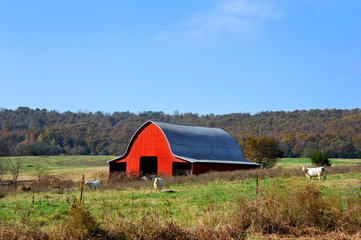 red barn