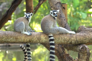 Pause en famille