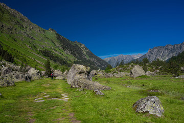 Fototapeta na wymiar Nice landscape of Marcadau Valley in the French Pyrenees, Trip to Cauterets, France.